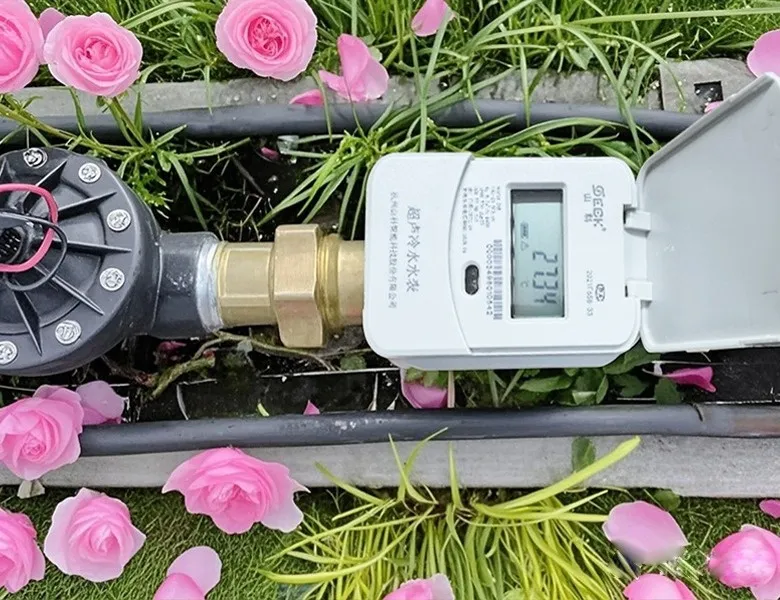 杭州“頂流”驚艷全國，山科如何守護城市“空中花廊”